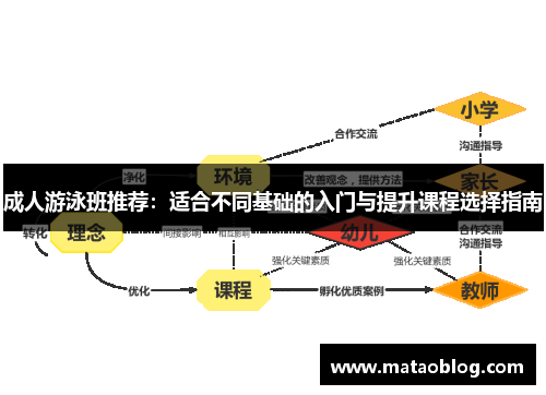 成人游泳班推荐：适合不同基础的入门与提升课程选择指南