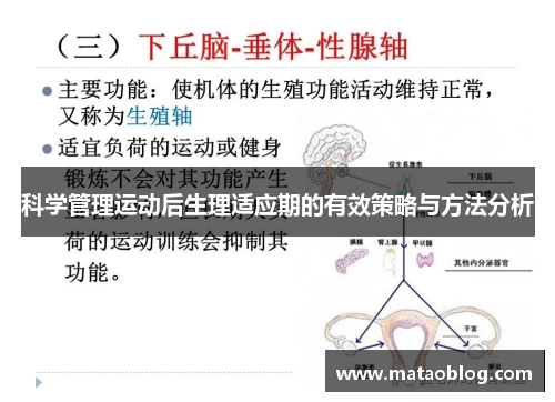 科学管理运动后生理适应期的有效策略与方法分析