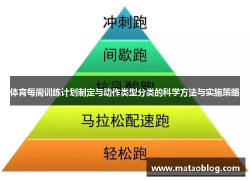 体育每周训练计划制定与动作类型分类的科学方法与实施策略