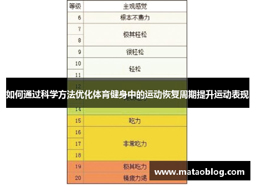 如何通过科学方法优化体育健身中的运动恢复周期提升运动表现